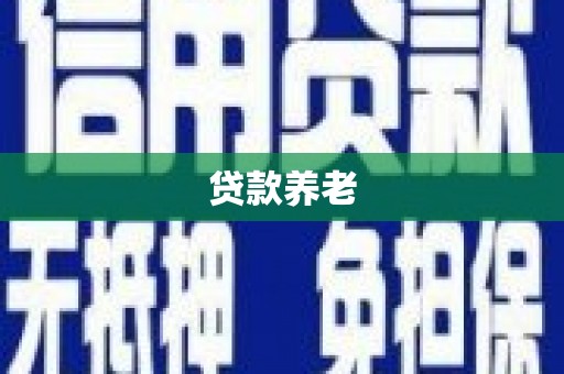 溪口贷款养老