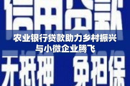 溪口农业银行贷款助力乡村振兴与小微企业腾飞
