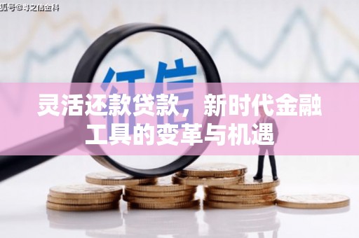 溪口灵活还款贷款，新时代金融工具的变革与机遇