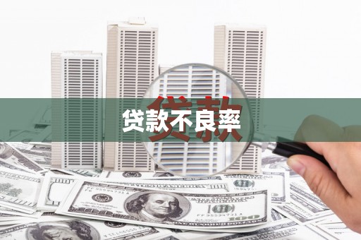 溪口贷款不良率