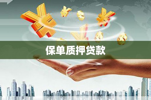 溪口保单质押贷款