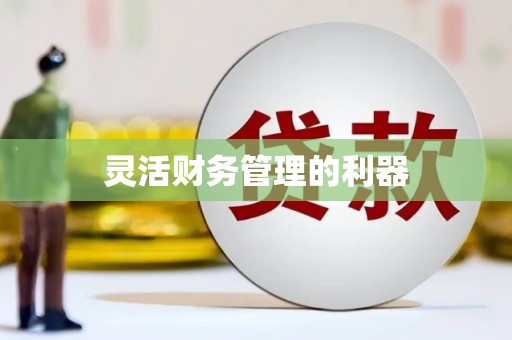 溪口灵活财务管理的利器