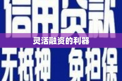 溪口灵活融资的利器