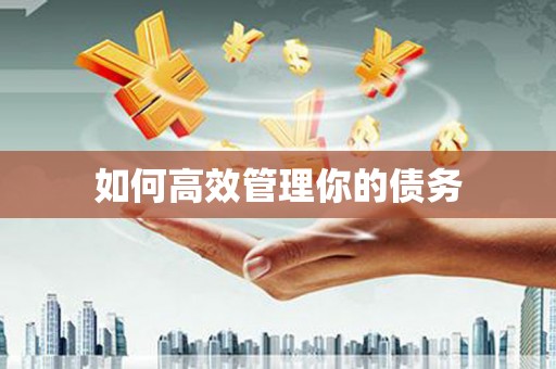 溪口如何高效管理你的债务