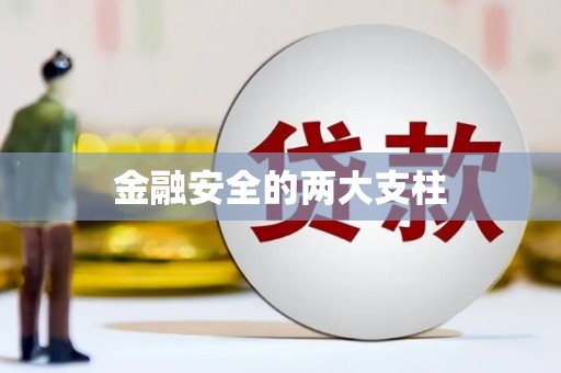 溪口金融安全的两大支柱