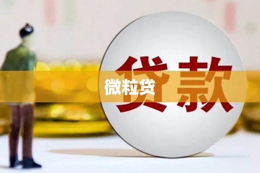 溪口微粒贷