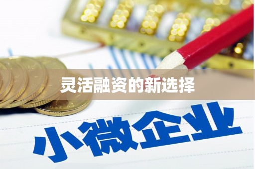 溪口灵活融资的新选择