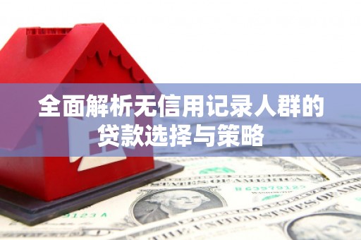 溪口全面解析无信用记录人群的贷款选择与策略