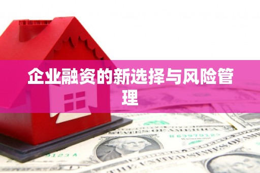 溪口企业融资的新选择与风险管理