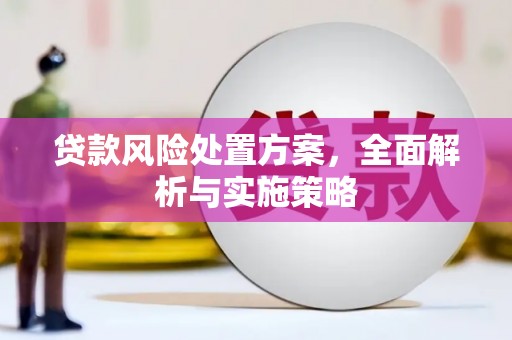 溪口贷款风险处置方案，全面解析与实施策略