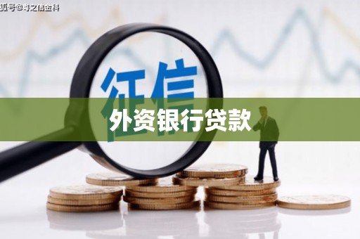溪口外资银行贷款