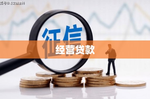 溪口经营贷款